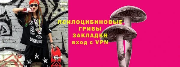 Альфа ПВП Арсеньев