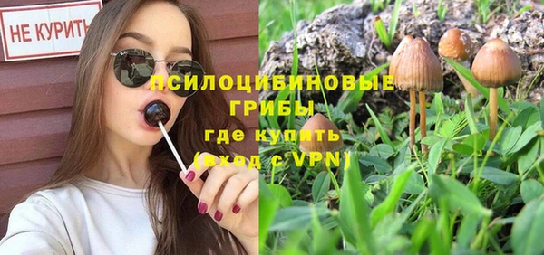 бошки Аркадак