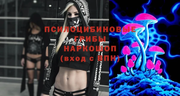 Альфа ПВП Арсеньев