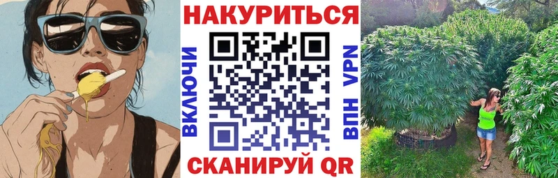 купить наркоту  Белый  OMG зеркало  Бошки Шишки Ganja 